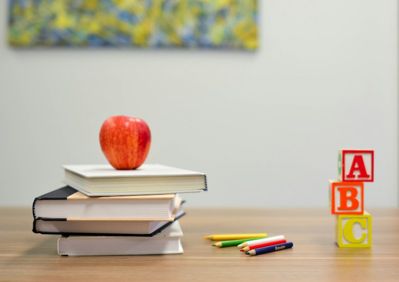 Special education and developmental support